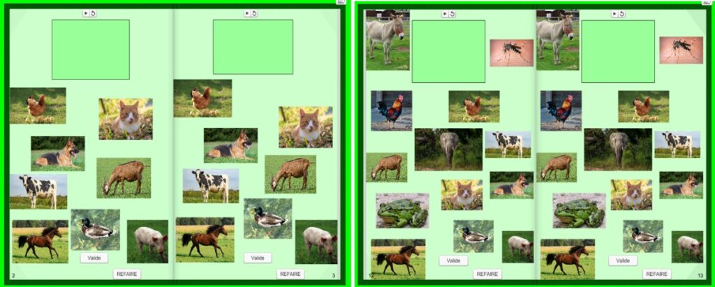 Livres Didapages : les TICE en maternelle